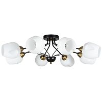 Светильник потолочный Arte Lamp BRIGHTON A2706PL-8CK