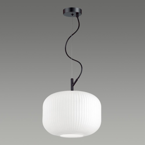 Подвесной светильник Odeon Light ROOFI 4754/1 фото 6