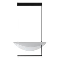 Подвесной светильник Odeon Light NEXT 7015/20L