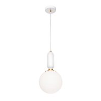 Подвесной светильник Loft It Parachilna 9975-B