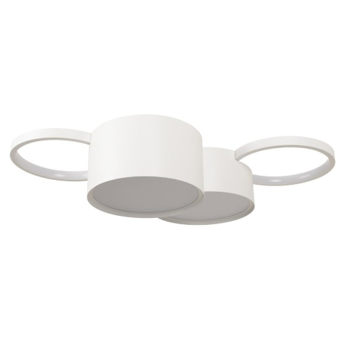 Потолочный светильник Loft It Pin 10317/4 White