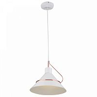 Светильник подвесной Freya Amis FR5025PL-01W