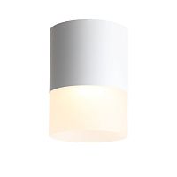 Потолочный светильник ST Luce OTTU 15W ST100.542.15