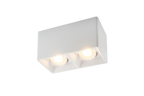 Светильник накладной Denkirs DK3020WW DK3035-WH