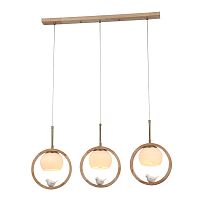 Светильник подвесной Arte Lamp A4182SP-3BR
