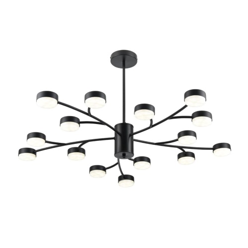 Люстра Lumion TORINA 8117/15 фото 4