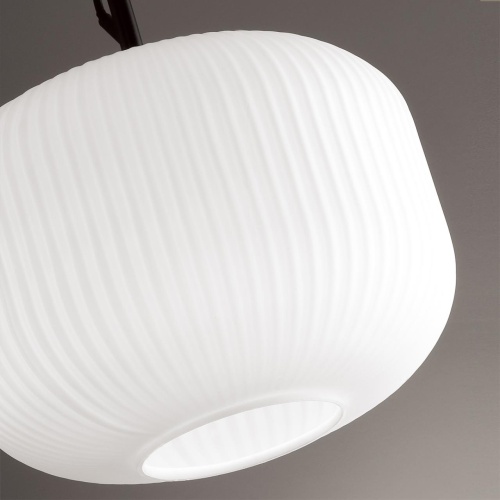 Подвесной светильник Odeon Light ROOFI 4753/1 фото 4