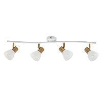Спот Arte Lamp FALENA A3117PL-4WH