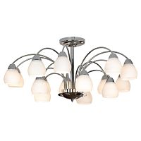 Потолочная люстра LUSSOLE S.R.L LSF-2403-15