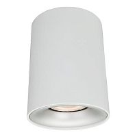 Светильник потолочный Arte Lamp TORRE A1532PL-1WH