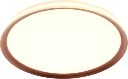 Потолочный светильник Mizi`en Titan MZ31502-430 фото 4