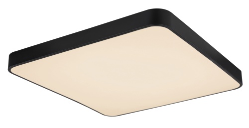 Люстра потолочная Globo Lighting Leanara 41755-48B