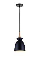 Светильник подвесной TopLight Marylou TL1202H-01BK
