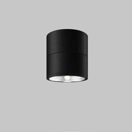 Потолочный светильник Maytoni Outdoor O310CL-L12GF3K фото 3