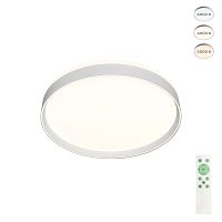 Потолочный светильник Denkirs PLATO DK6510-WH