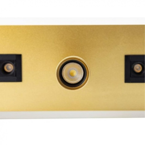 Спот Arte Lamp A2220PL-3GO фото 6