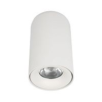 Потолочный светильник Tictac Loft It (Light for You) 10220 White 3000K