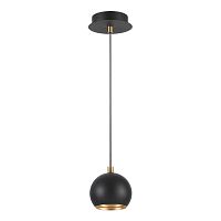 Светильник подвесной Lumion Dondoo 3635/1