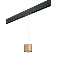 Комплект со светильником Rullo для трека PRO Lightstar Rullo PRORP3490
