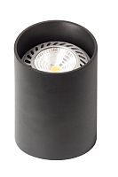 Потолочный светильник TopDecor Tubo12 P2 12