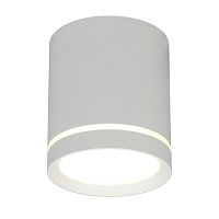 Светильник настенно-потолочный Omnilux Capurso OML-102429-05