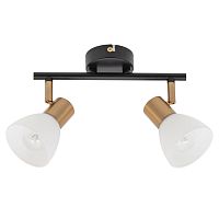 Спот Arte Lamp FALENA A3117PL-2BK