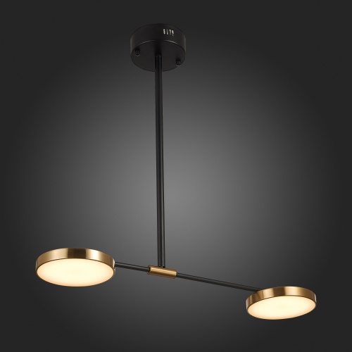 Светильник подвесной ST Luce FARONE SL1605.403.02 фото 4