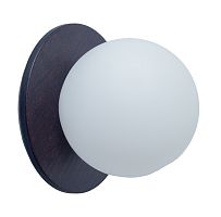 Настенно-потолочный светильник TopDecor Sphere AP1 74 00