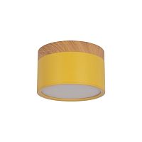 Накладной светильник LOFT IT Grape 10162 Yellow