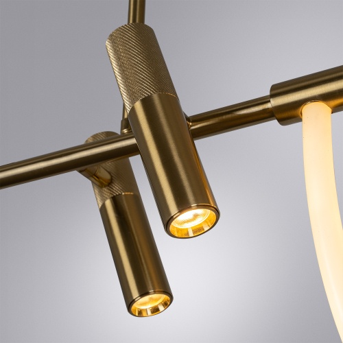 Подвесная люстра Arte Lamp KLIMT A2850SP-45PB фото 8