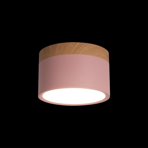Накладной светильник LOFT IT Grape 10162 Pink фото 3