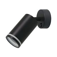Светильник настенный Arte Lamp Imai A2365AP-1BK