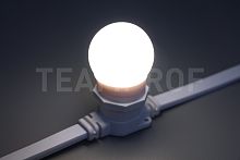 Лампа для Белт-лайта Teamprof Е27, 24В, 2 Вт TPF-B-E27-G45-24V-2W-W