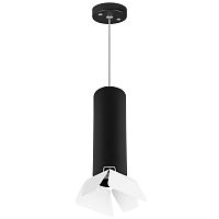 Светильник однофазный Lightstar Rullo RP497436