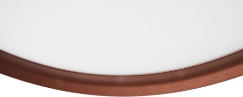 Потолочный светильник Mizi`en Titan MZ31502-430 фото 6