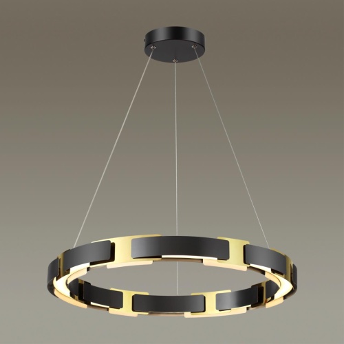 Люстра Odeon Light Fierro 4991/55L фото 5