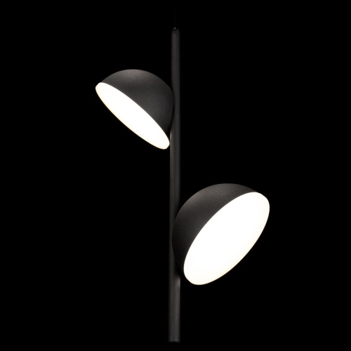 Подвесной светильник LOFT IT Mons 10335 Black фото 5