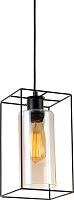 Светильник подвесной TopLight Robyn TL1176H-01BK