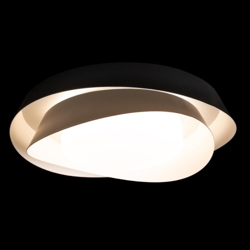 Потолочный светильник Loft It Petale 10256 Black фото 3