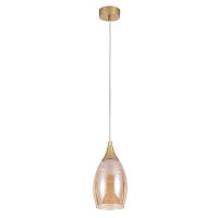 Светильник подвесной Arte Lamp BARRY A7951SP-1GO