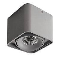 Светильник Monocco 10W 052119