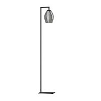 Торшеры ESTANYS Eglo 390256