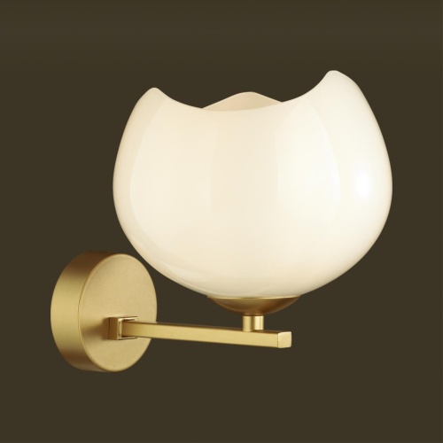 Настенный светильник Odeon Light MODERN 4873/1W фото 6