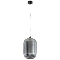 Подвесной светильник Arte Lamp ARWEN A1903SP-1BK