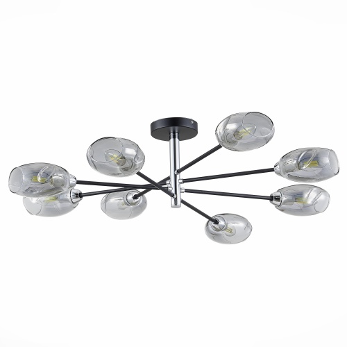Люстра Evoluce GLOA SLE15551208 фото 6
