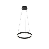 Подвесной светильник Maytoni Rim MOD058PL-L22BK