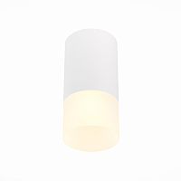Светильник потолочный ST Luce ST100.512.01
