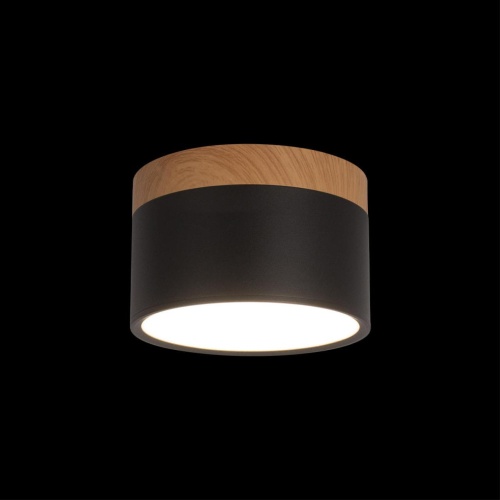 Накладной светильник LOFT IT Grape 10162 Black фото 3