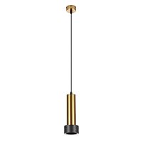Точечный подвесной светильник Arte Lamp RAN A3147SP-1PB