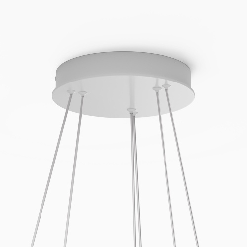 Подвесной светильник Maytoni Rim MOD058PL-L74WK фото 6